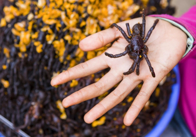 Chữa đái dầm ở trẻ em bằng việc ăn nhện nướng